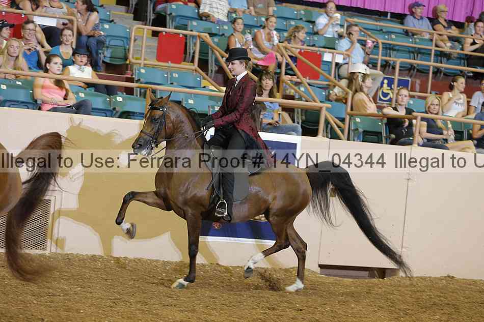 Proof 14yn_04344