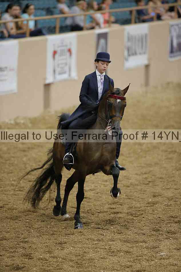 Proof 14yn_04345