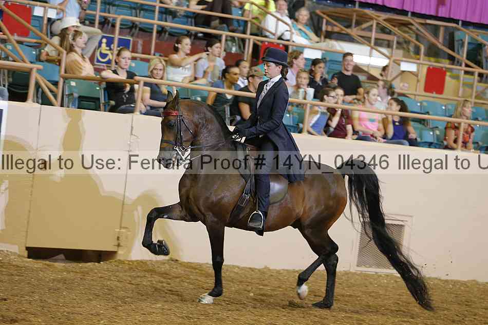 Proof 14yn_04346