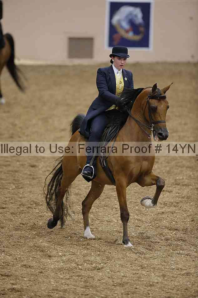 Proof 14yn_04347