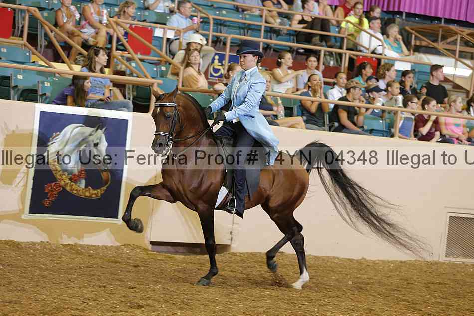 Proof 14yn_04348