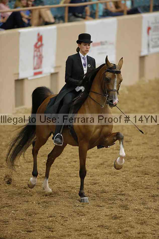 Proof 14yn_04349