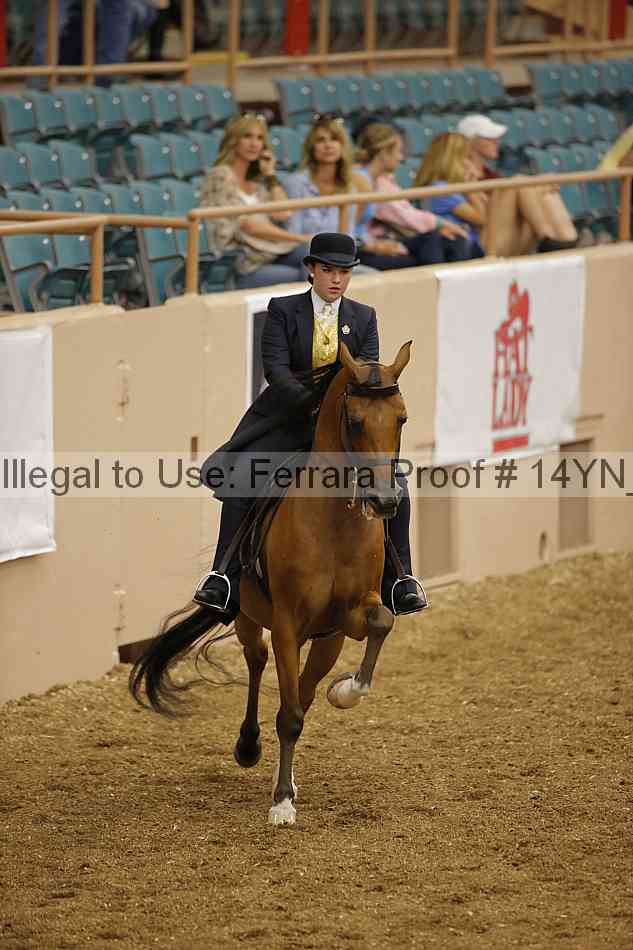 Proof 14yn_04355