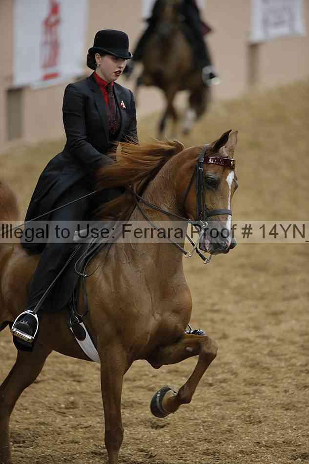 Proof 14yn_04356