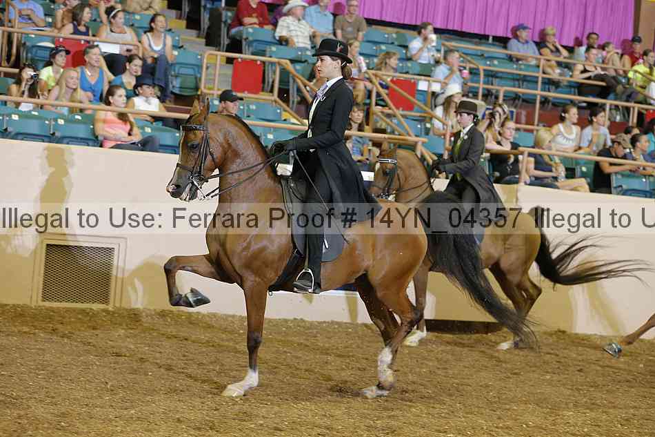 Proof 14yn_04357