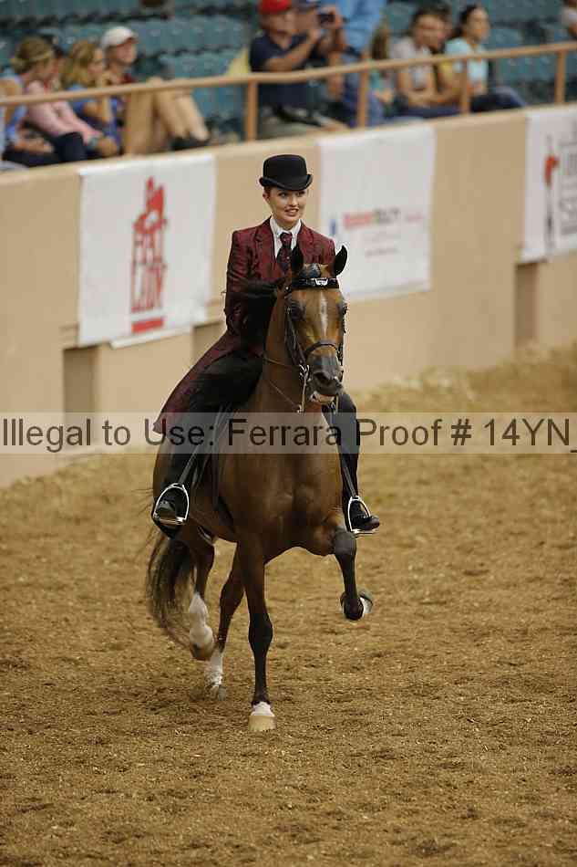 Proof 14yn_04358