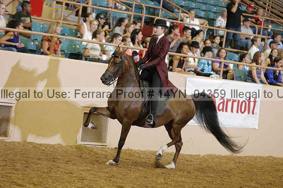 Proof 14yn_04359