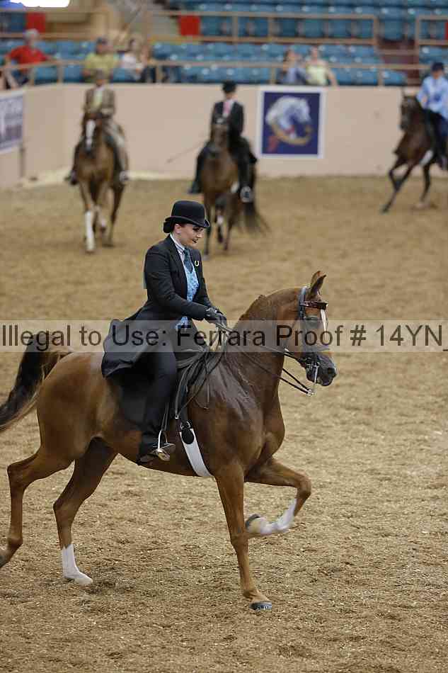 Proof 14yn_04361