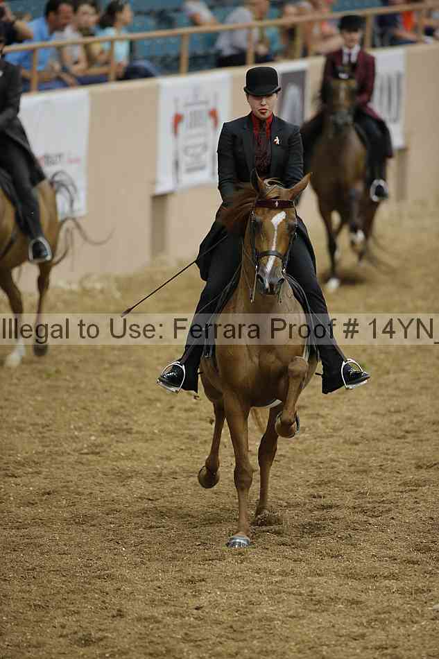 Proof 14yn_04366