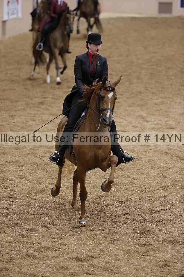 Proof 14yn_04367