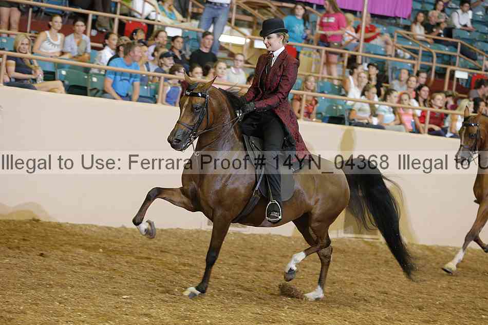 Proof 14yn_04368