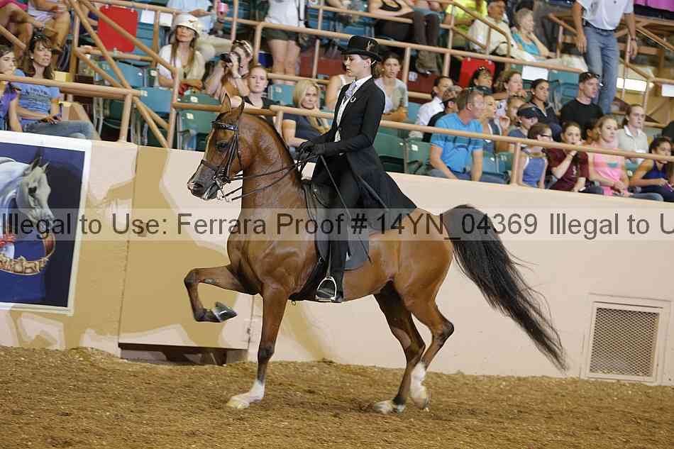 Proof 14yn_04369