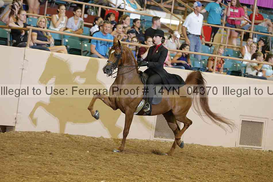 Proof 14yn_04370