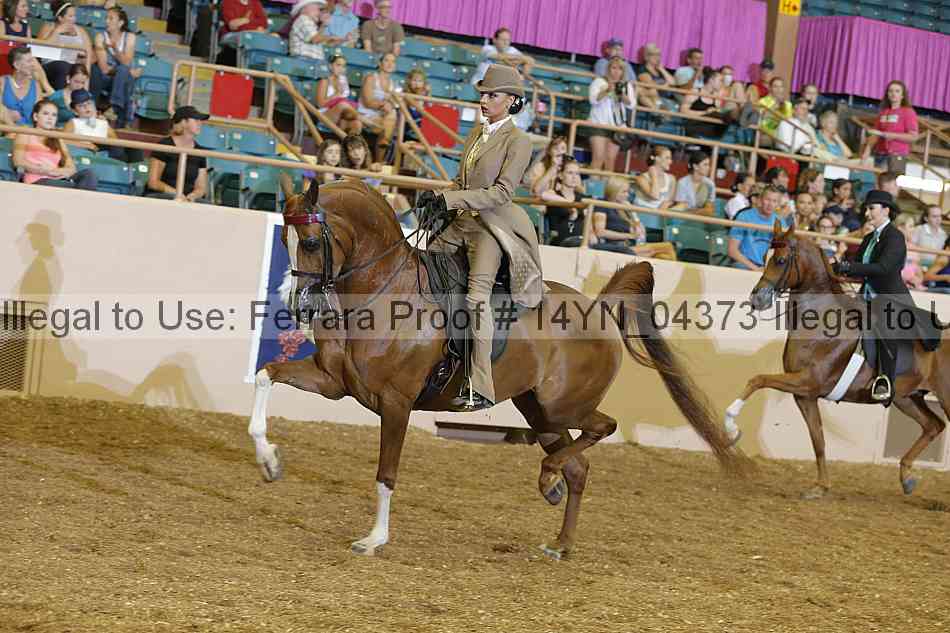 Proof 14yn_04373