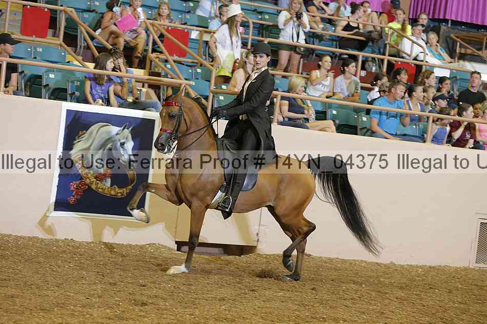 Proof 14yn_04375