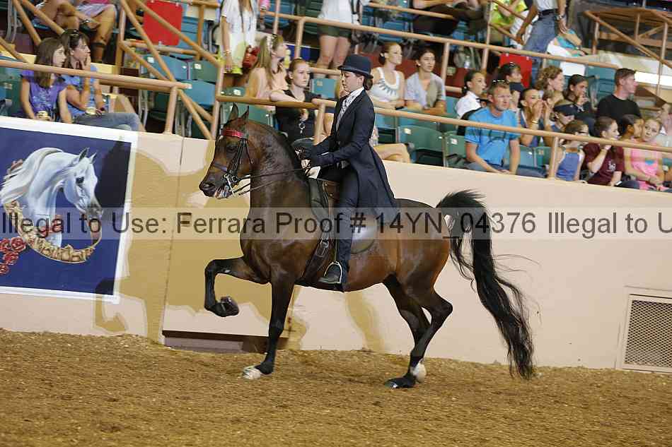 Proof 14yn_04376