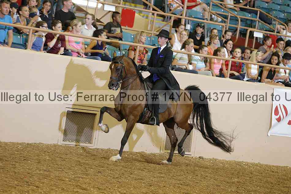Proof 14yn_04377