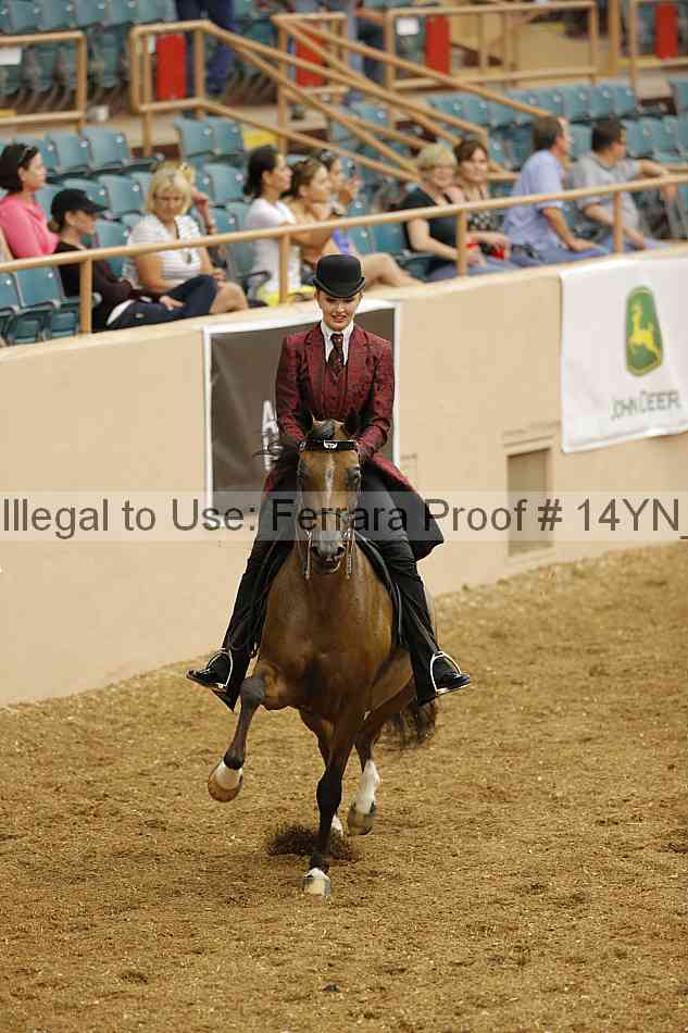 Proof 14yn_04378