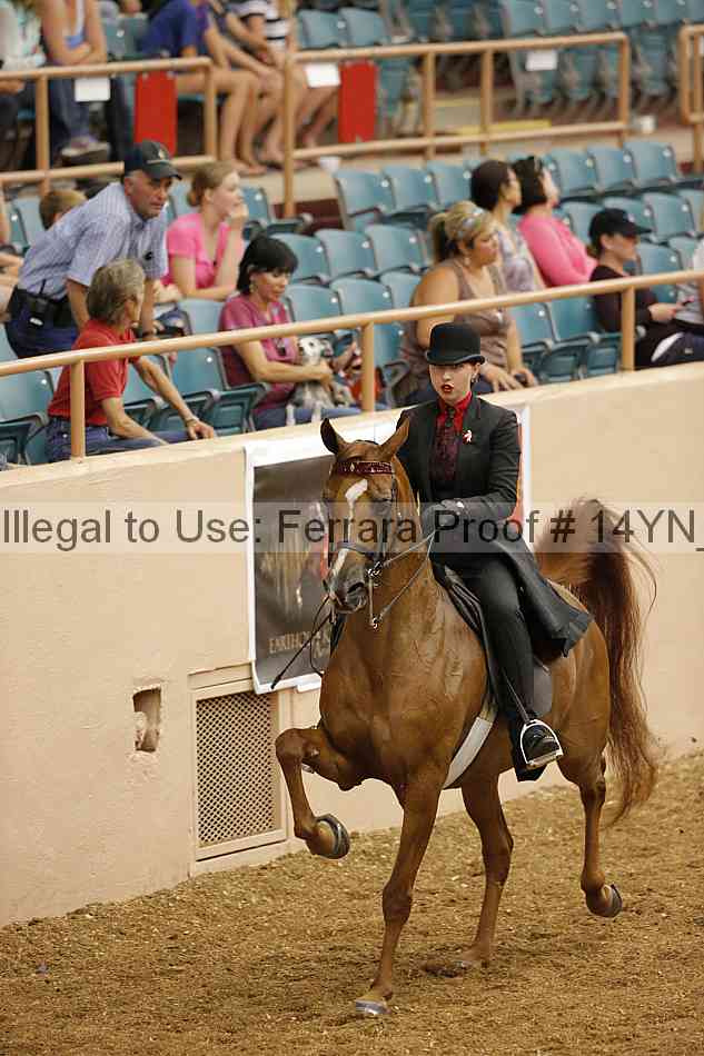 Proof 14yn_04379