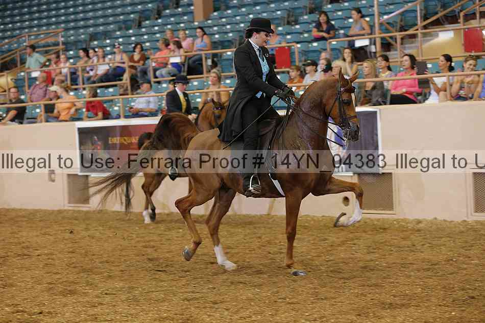 Proof 14yn_04383