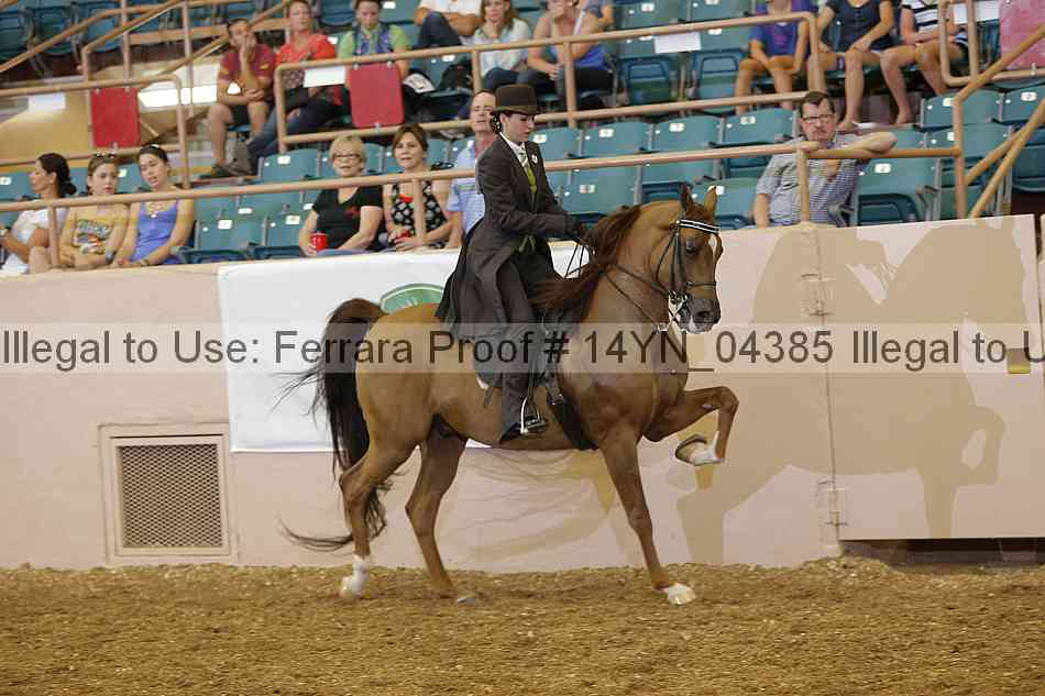 Proof 14yn_04385