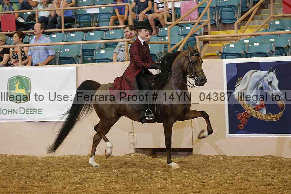 Proof 14yn_04387