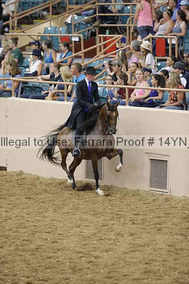 Proof 14yn_04388