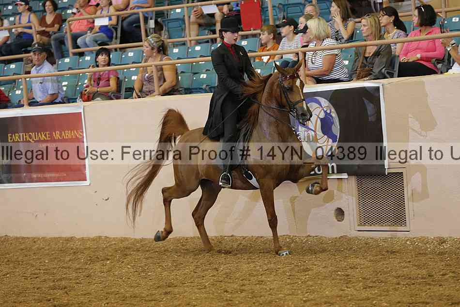 Proof 14yn_04389