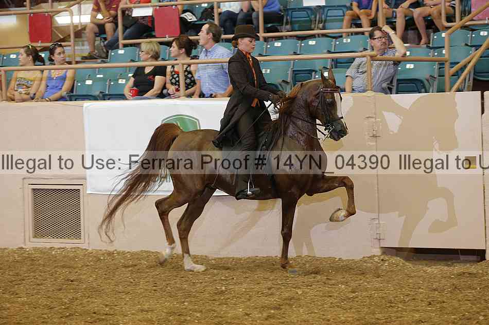 Proof 14yn_04390
