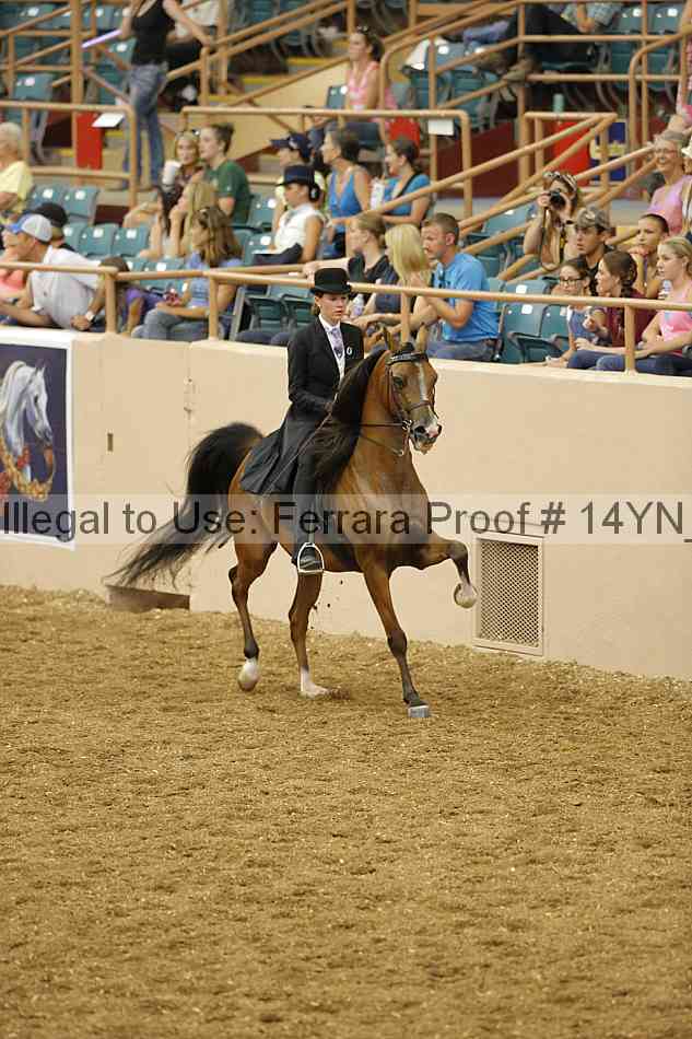 Proof 14yn_04391