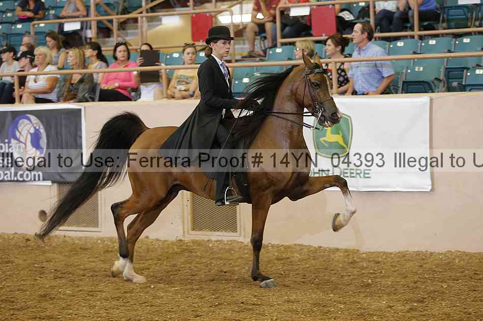 Proof 14yn_04393