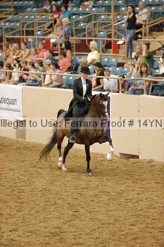 Proof 14yn_04394