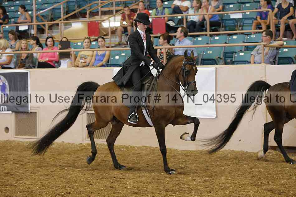 Proof 14yn_04395