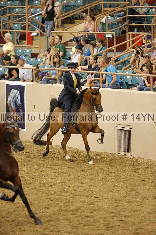 Proof 14yn_04396