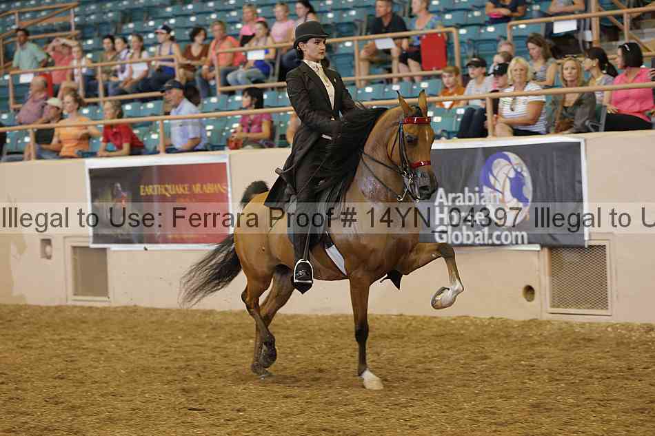 Proof 14yn_04397