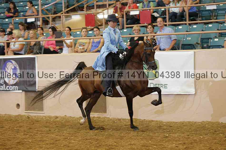 Proof 14yn_04398