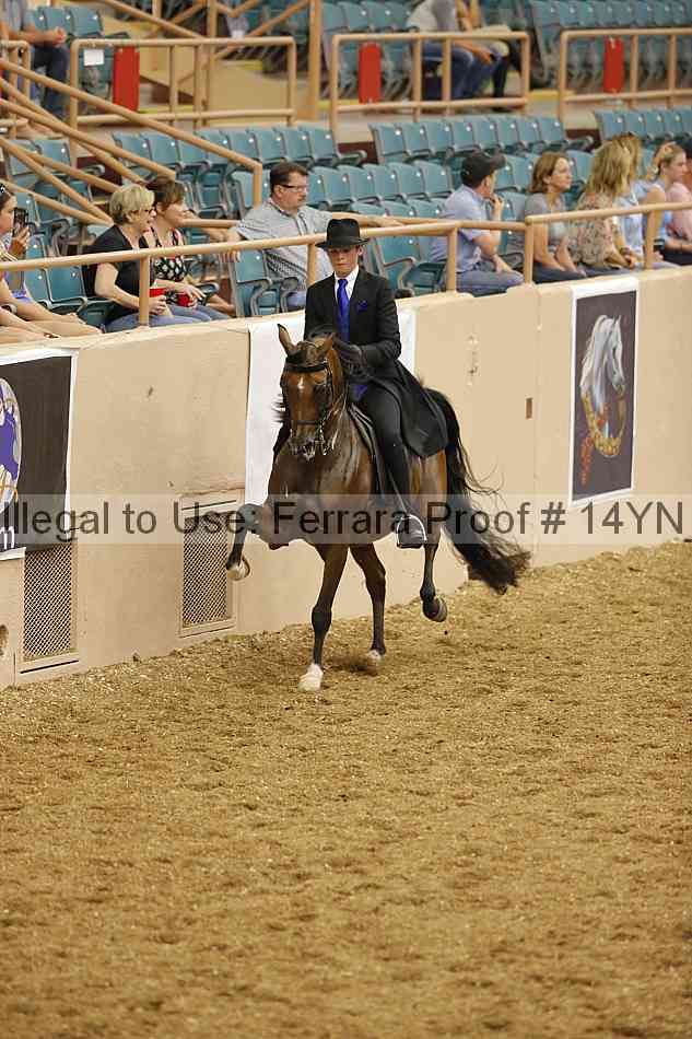 Proof 14yn_04403