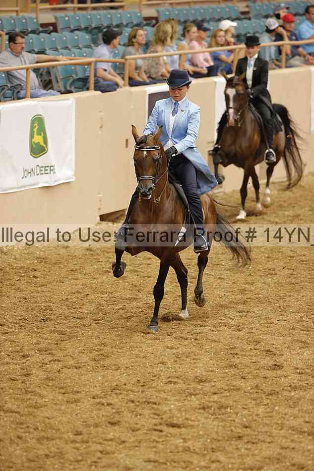 Proof 14yn_04404
