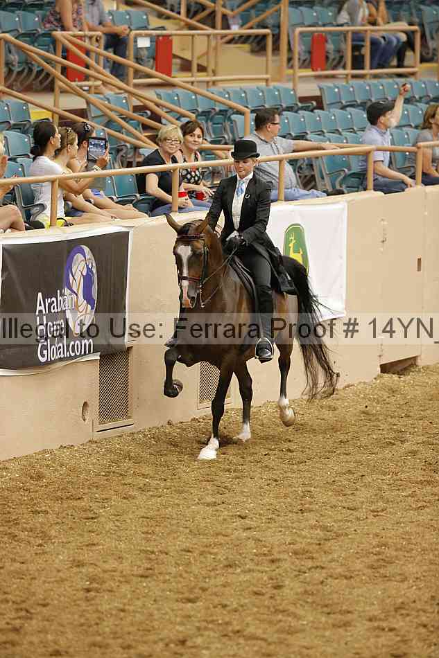 Proof 14yn_04405