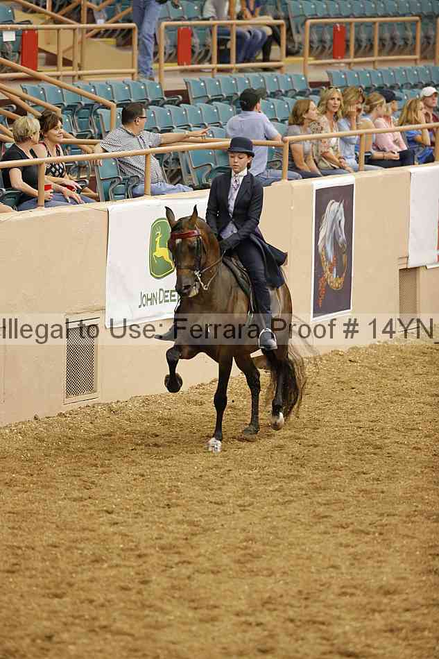 Proof 14yn_04406