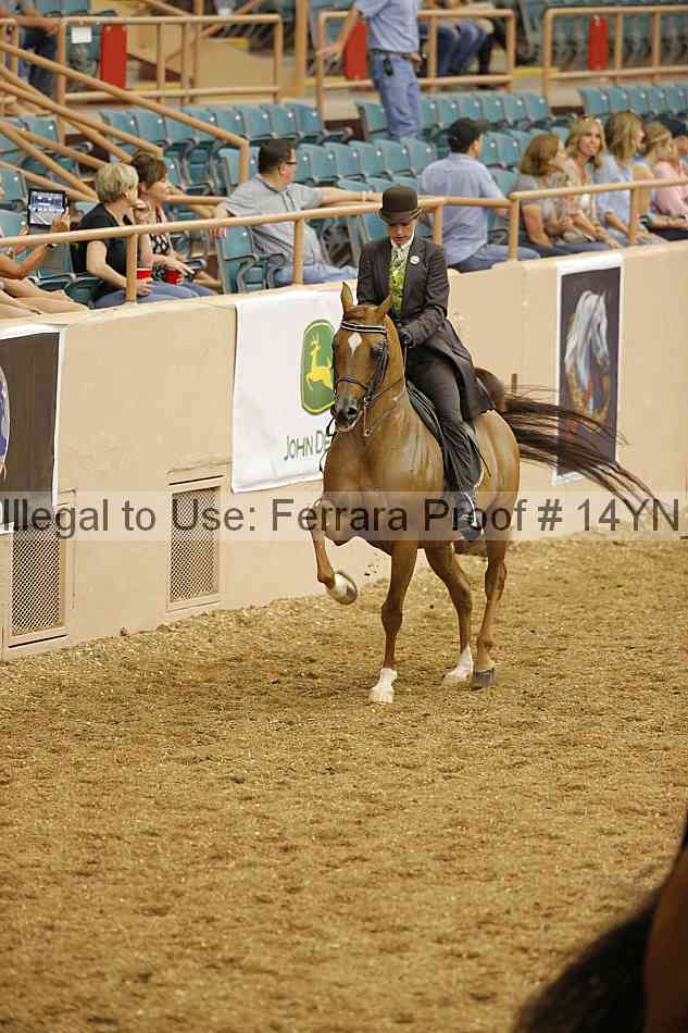 Proof 14yn_04407