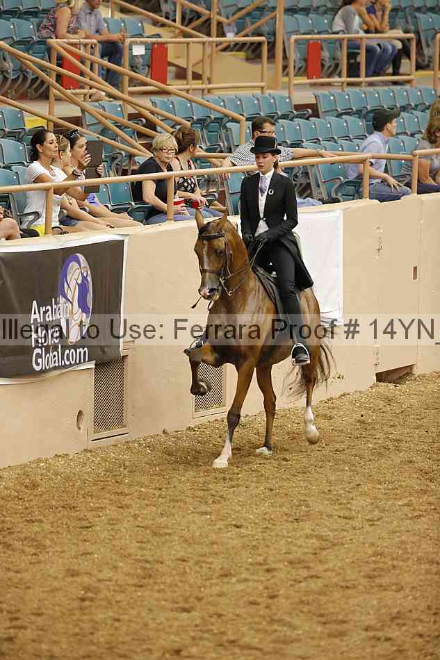 Proof 14yn_04408