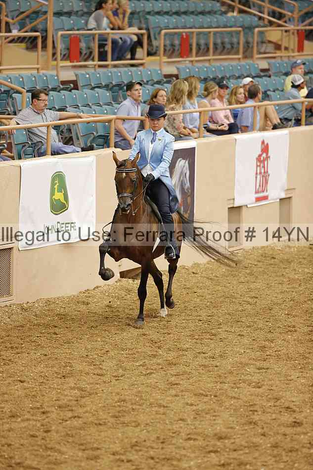 Proof 14yn_04409