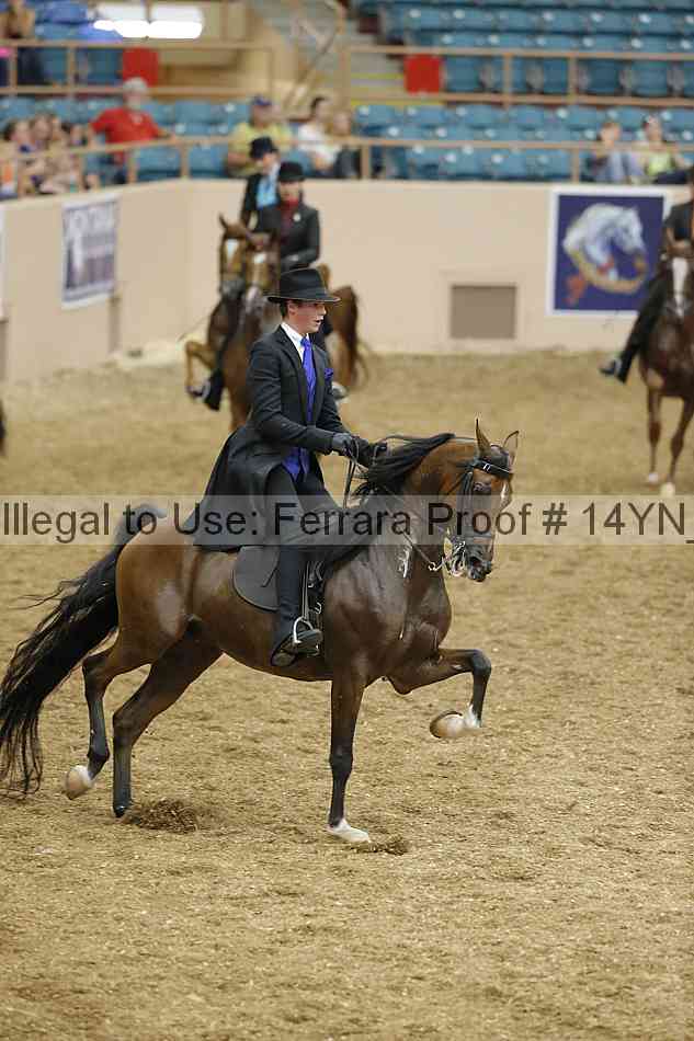 Proof 14yn_04410