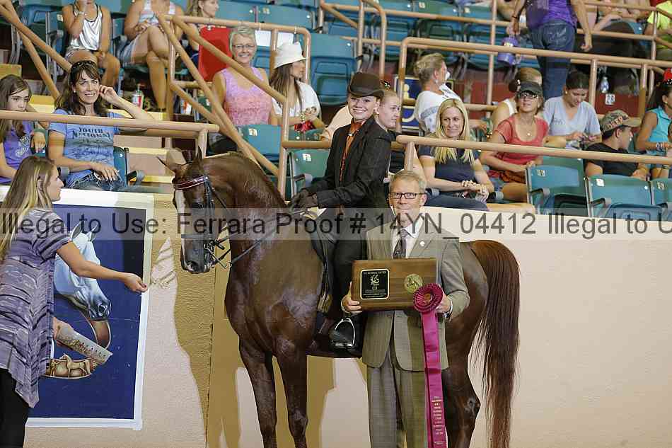 Proof 14yn_04412