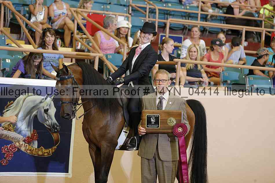 Proof 14yn_04414