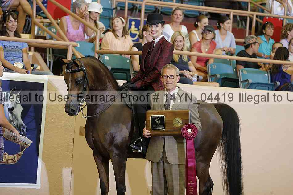 Proof 14yn_04419