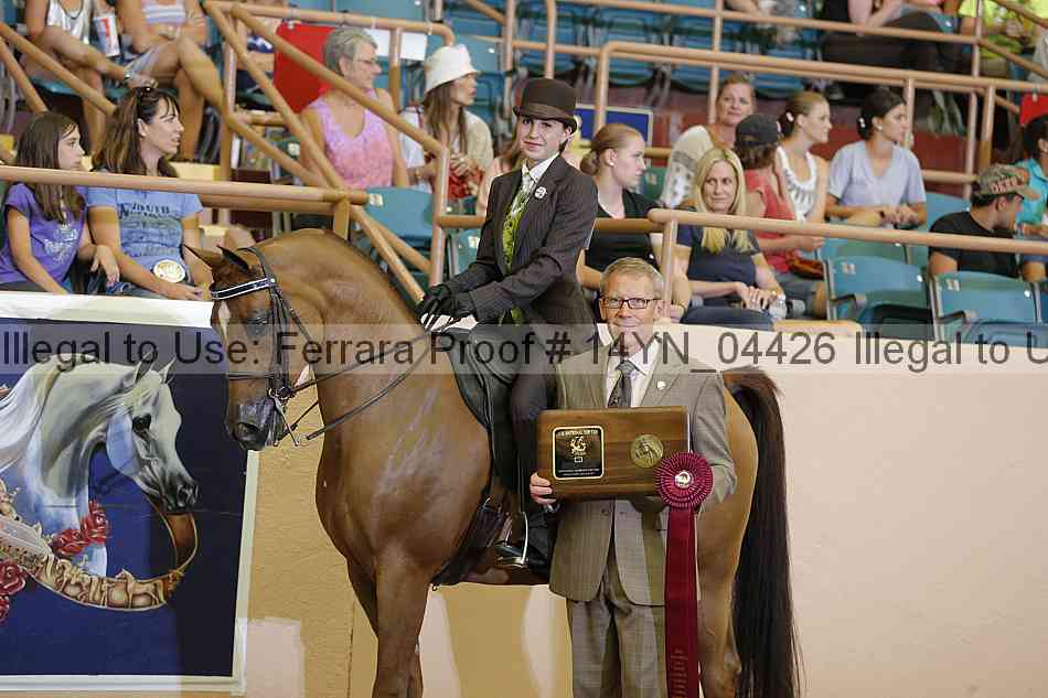 Proof 14yn_04426