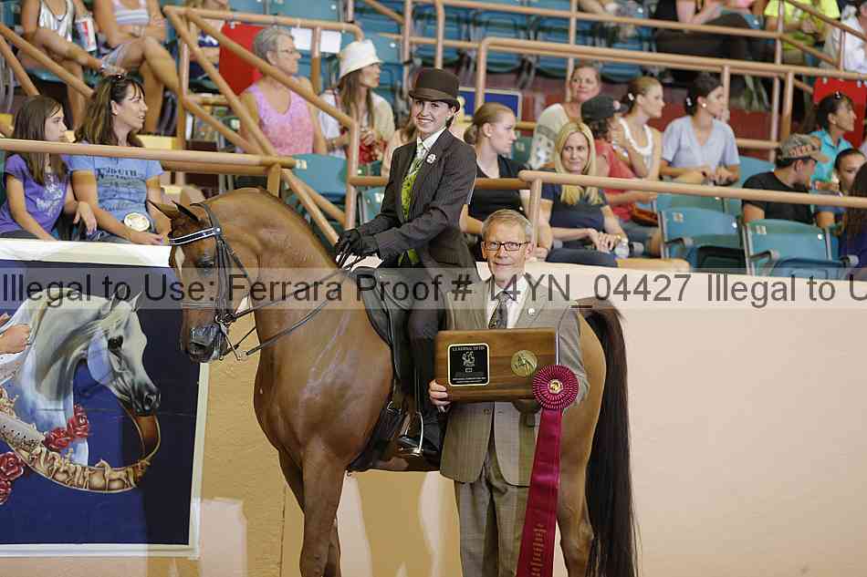 Proof 14yn_04427