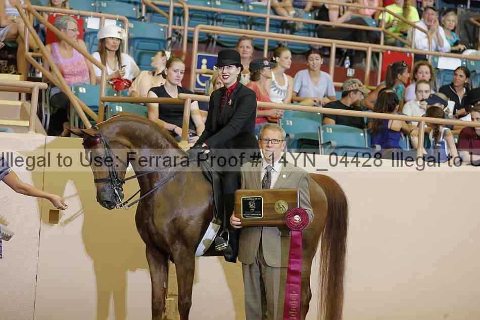 Proof 14yn_04428
